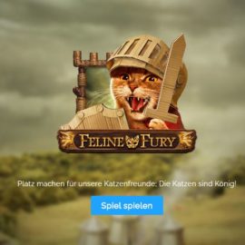 Feline Fury