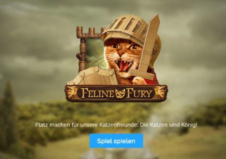 Feline Fury